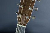 Taylor 810E Legacy Edition-14.jpg
